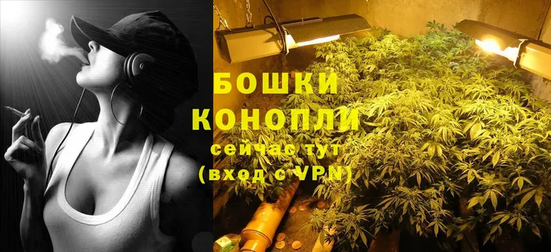 Бошки марихуана THC 21%  продажа наркотиков  Зима 